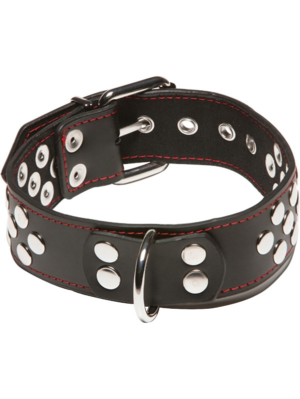 X-Play: Collar with D-Ring