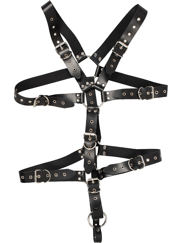 ZADO: Strap Body Harness with Ring | Analpluggar | Intimast