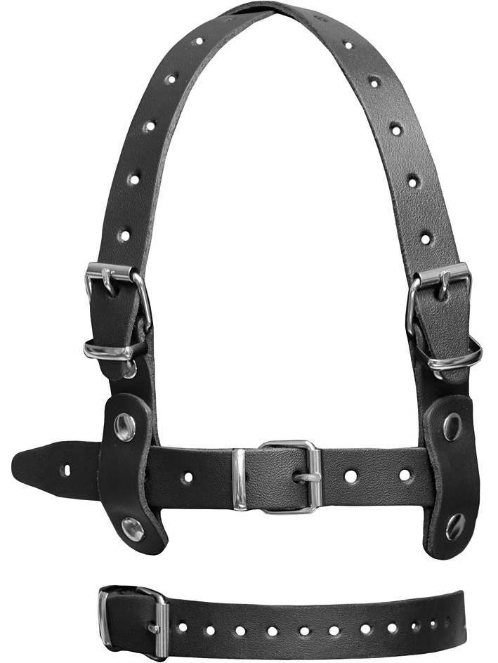 ZADO: Leather Head Harness