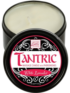 California Exotic: Tantric Massageljus, Vit Lavendel