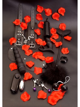 Toy Joy: LoveToy Starter Kit