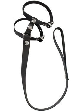 Bad Kitty: Professional Penis/Testicle Harness
