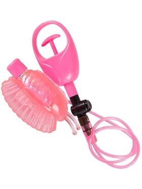 You2Toys: Butterfly Suction Cup