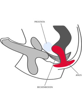 Fun Factory: Bootie, Butt Plug, Medium, svart