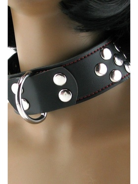 X-Play: Collar with D-Ring