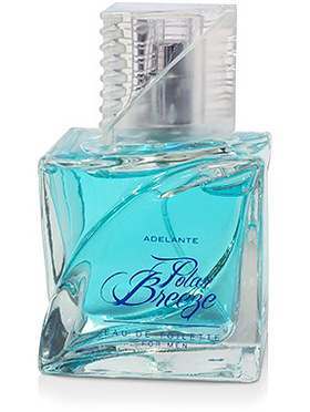 Adelante: Polar Breeze for Men, 90 ml