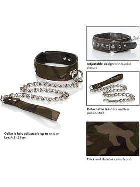 California Exotic: Colt, Camo Collar & Leash