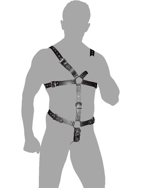 ZADO: Strap Body Harness with Ring