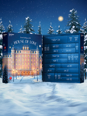 Satisfyer: Deluxe Adventskalender 2025