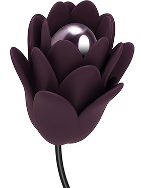 Rocks-Off: Zinnia, Fleur d´ Amour
