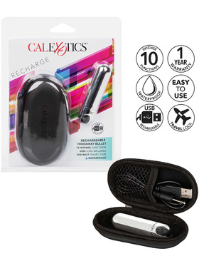 California Exotic: Rechargeable Hideaway Bullet, silver