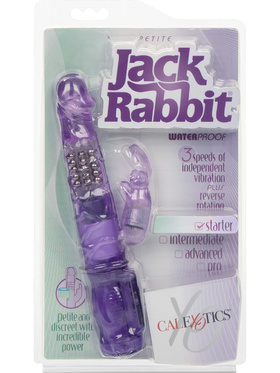 California Exotic: Petite Jack Rabbit, lila