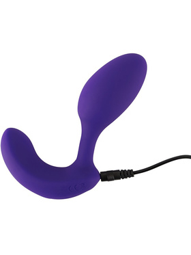 Sweet Smile: Remote Controlled Double Vibrator