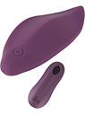 Remote Panty Vibrator