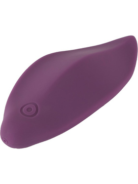 Sweet Smile: Remote Controlled Panty Vibrator