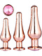 Pleasure Plug Set
