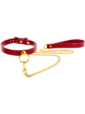 Taboom Luxury: O-Ring Collar & Chain Leash