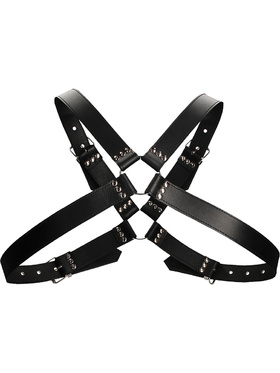 Ouch!: Men's Large Buckle Harness, One Size