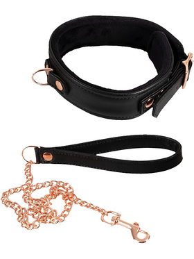 Bad Kitty: Collar with Leash