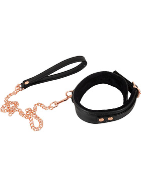 Bad Kitty: Collar with Leash