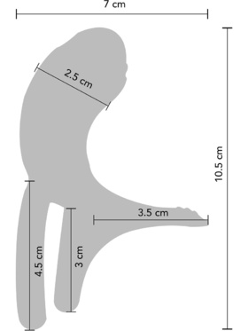 Xocoon: Couples Stimulator Ring