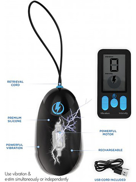 Zeus Electrosex: E-Stim Pro, E-Stim + Vibrating Egg with Remote