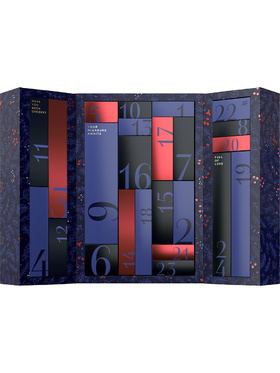 Satisfyer: Premium Adventskalender 2024