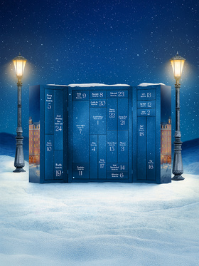 Satisfyer: Premium Adventskalender 2025