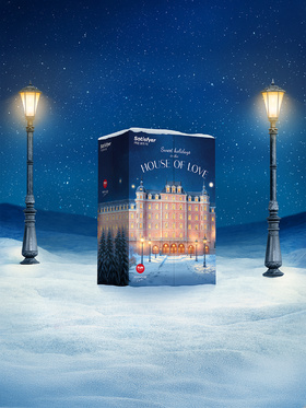 Satisfyer: Premium Adventskalender 2025