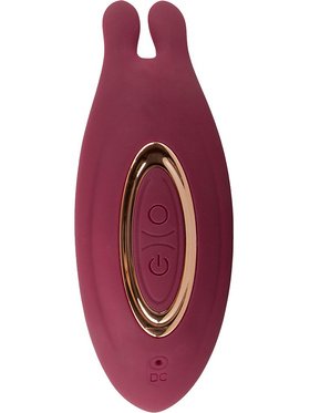 JAVIDA: RC Hands-free 3 Function Vibrator