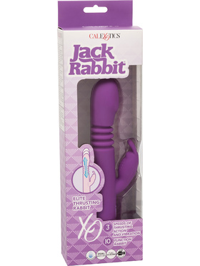 California Exotic: Jack Rabbit, Elite Thrusting Rabbit