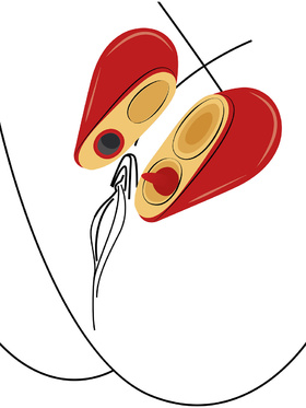 Xocoon: Heartbreaker, 2-in-1 Stimulator