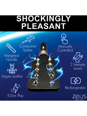 Zeus Electrosex: E-Stim Spiked Paddle