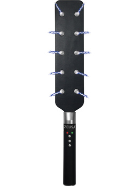 Zeus Electrosex: E-Stim Spiked Paddle