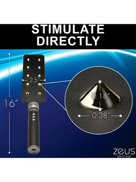 Zeus Electrosex: E-Stim Spiked Paddle