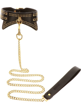Taboom Vogue: Studded Collar and Leash