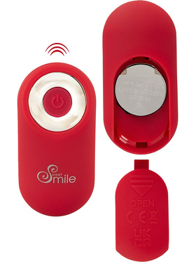 Sweet Smile: RC Panty Vibrator