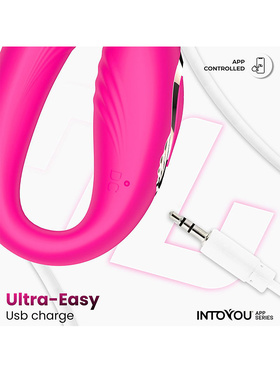IntoYou: Couty, 360 Oscillation Couples Toy with App