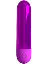 Kiwi Mini Vibrator