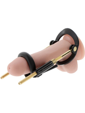 Hidden Desire: Fusion X, Penis Growth Training Basic Set Hidden Desire: Fusion X, Penis Growth Training Basic Set