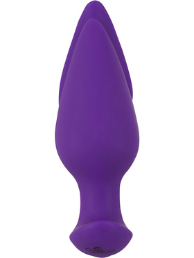 Sweet Smile: RC 2in1 Plug & Panty Vibe