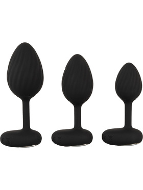 Anos: RC Vibrating Butt Plug Training Set Anos: RC Vibrating Butt Plug Training Set