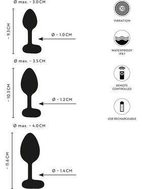 Anos: RC Vibrating Butt Plug Training Set Anos: RC Vibrating Butt Plug Training Set