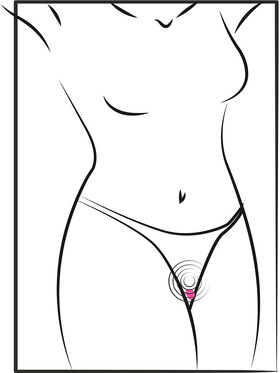 Sweet Smile: RC Panty Vibrator Heart Sweet Smile: RC Panty Vibrator Heart