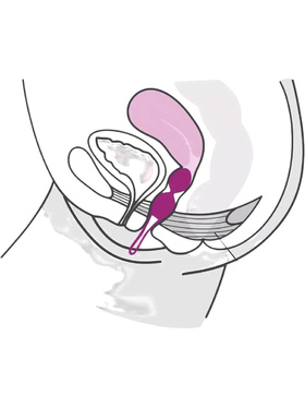 Fun Factory: SmartBalls Duo, lila