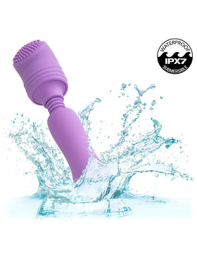 California Exotic: First Time, Travel Teaser Kit