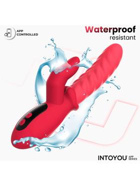 IntoYou: Tingly, Waving & Finger Vibrator with App