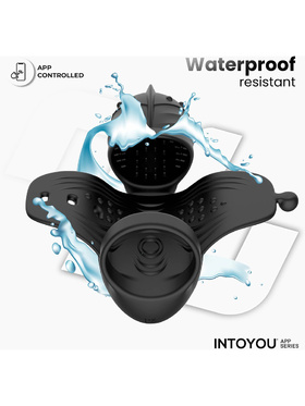 IntoYou: Zonte, Rotating Cap Vibrating Masturbator with App