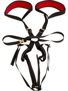 Bad Kitty: Body Swing